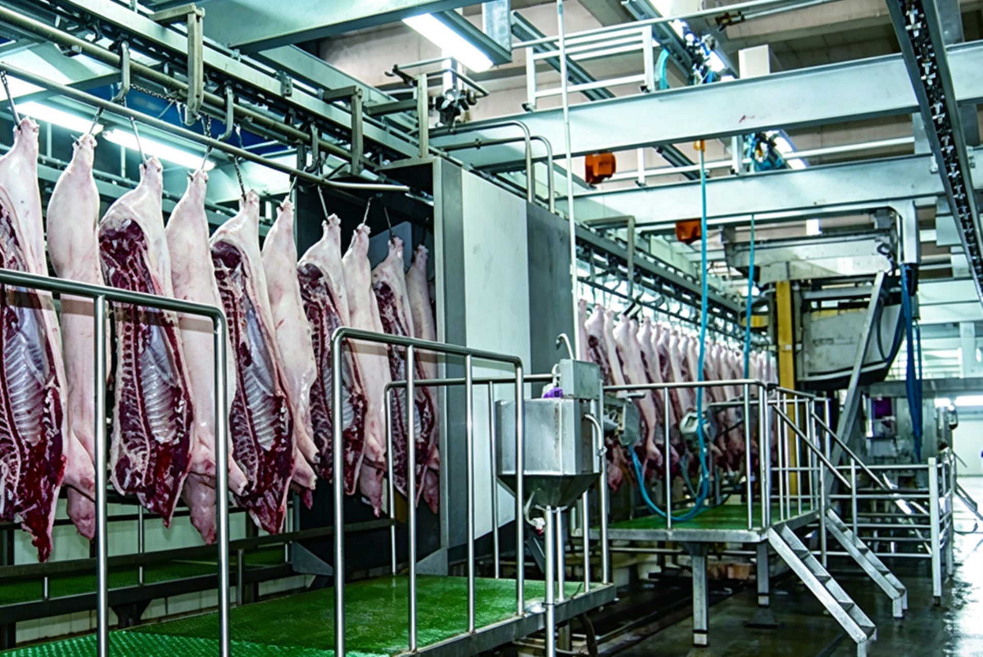 Entrance and exit of meat processing factory